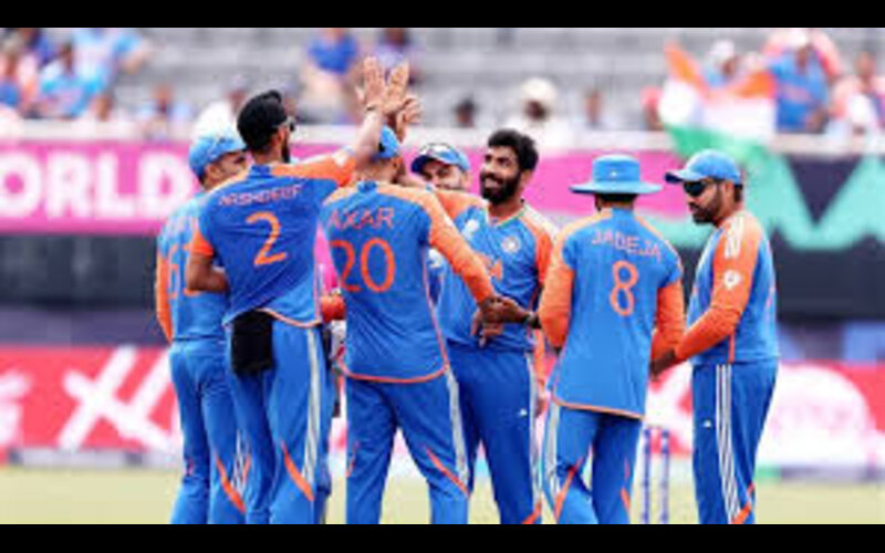 indian cricket team matches body image